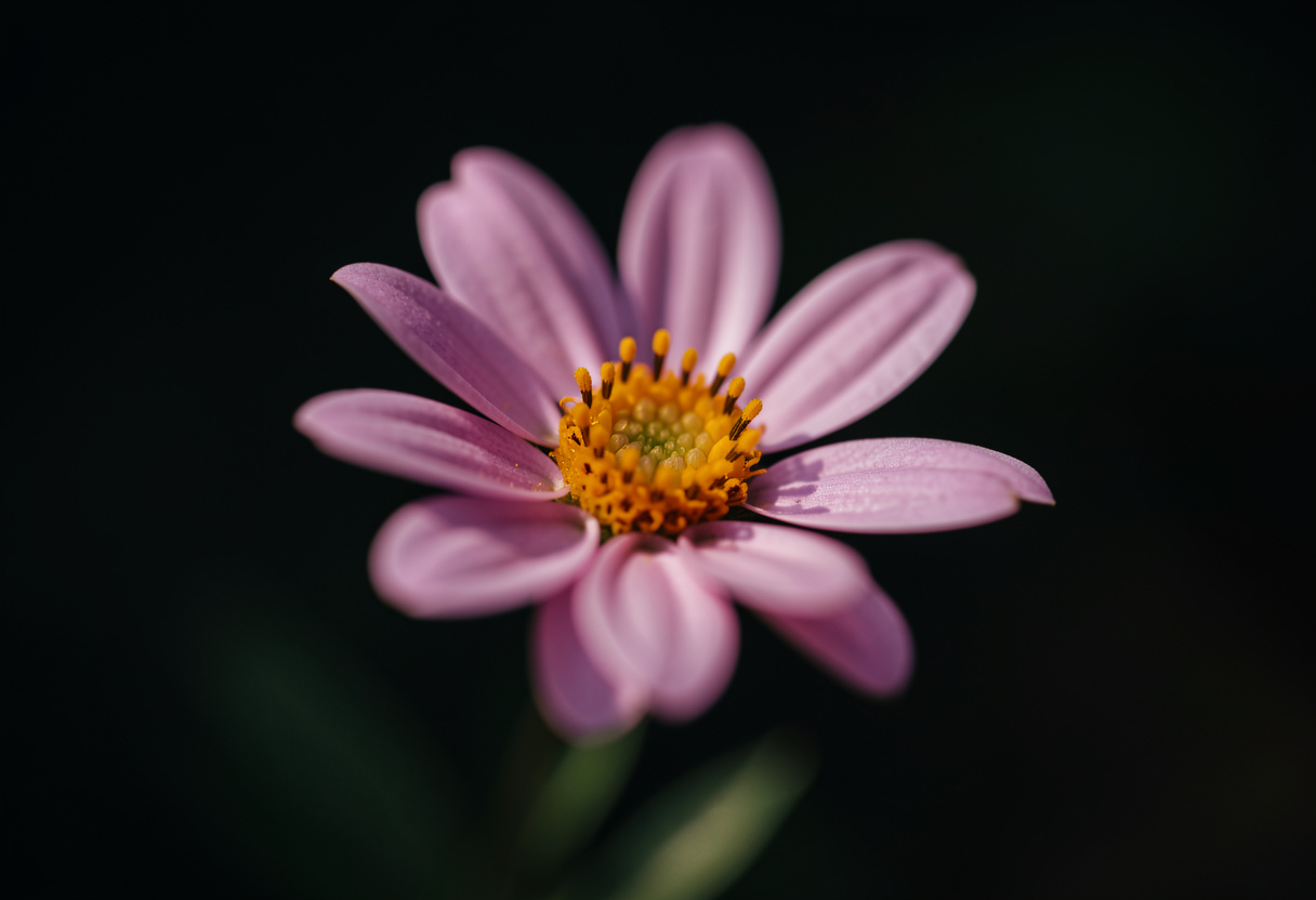 Impression 3